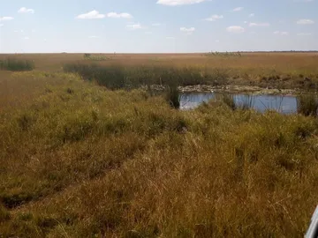 Agricultural Farm for Sale in Chirumhanzum² Land Area